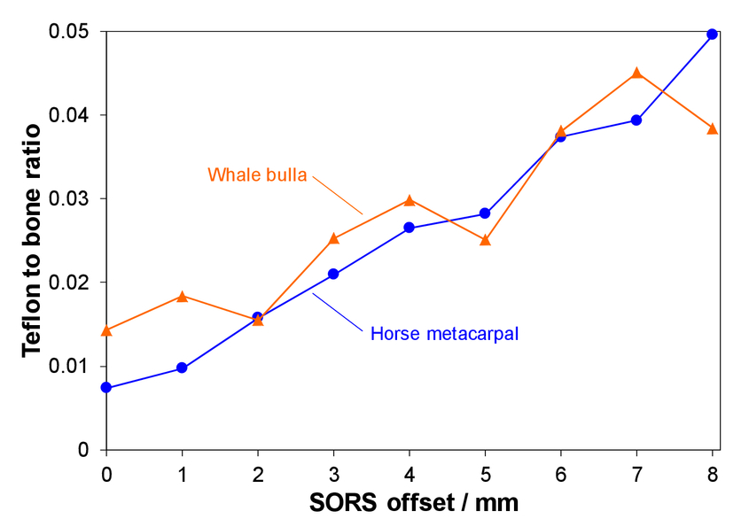 1 mm of horse metacarpal end-shaft bone (metaphysis) and whale