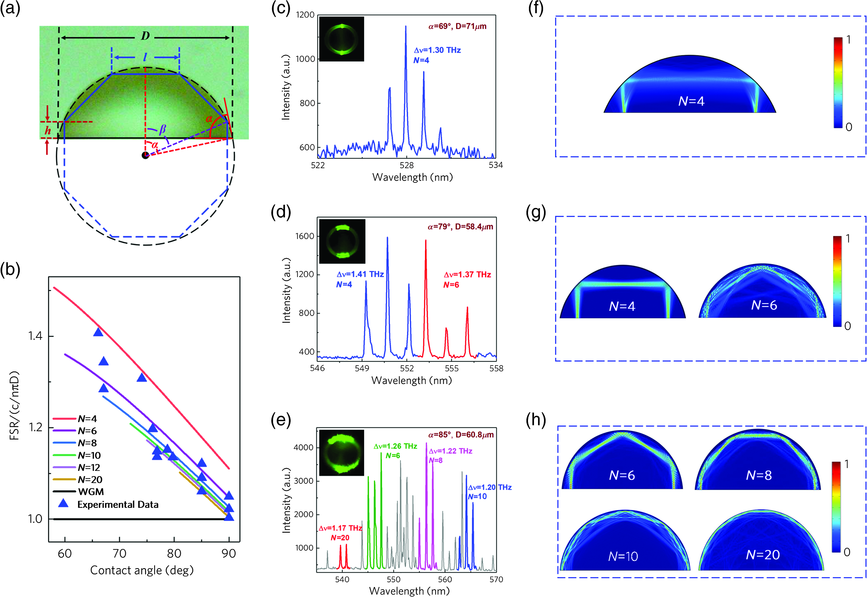 Lasing Action In Microdroplets Modulated By Interfacial Molecular Forces