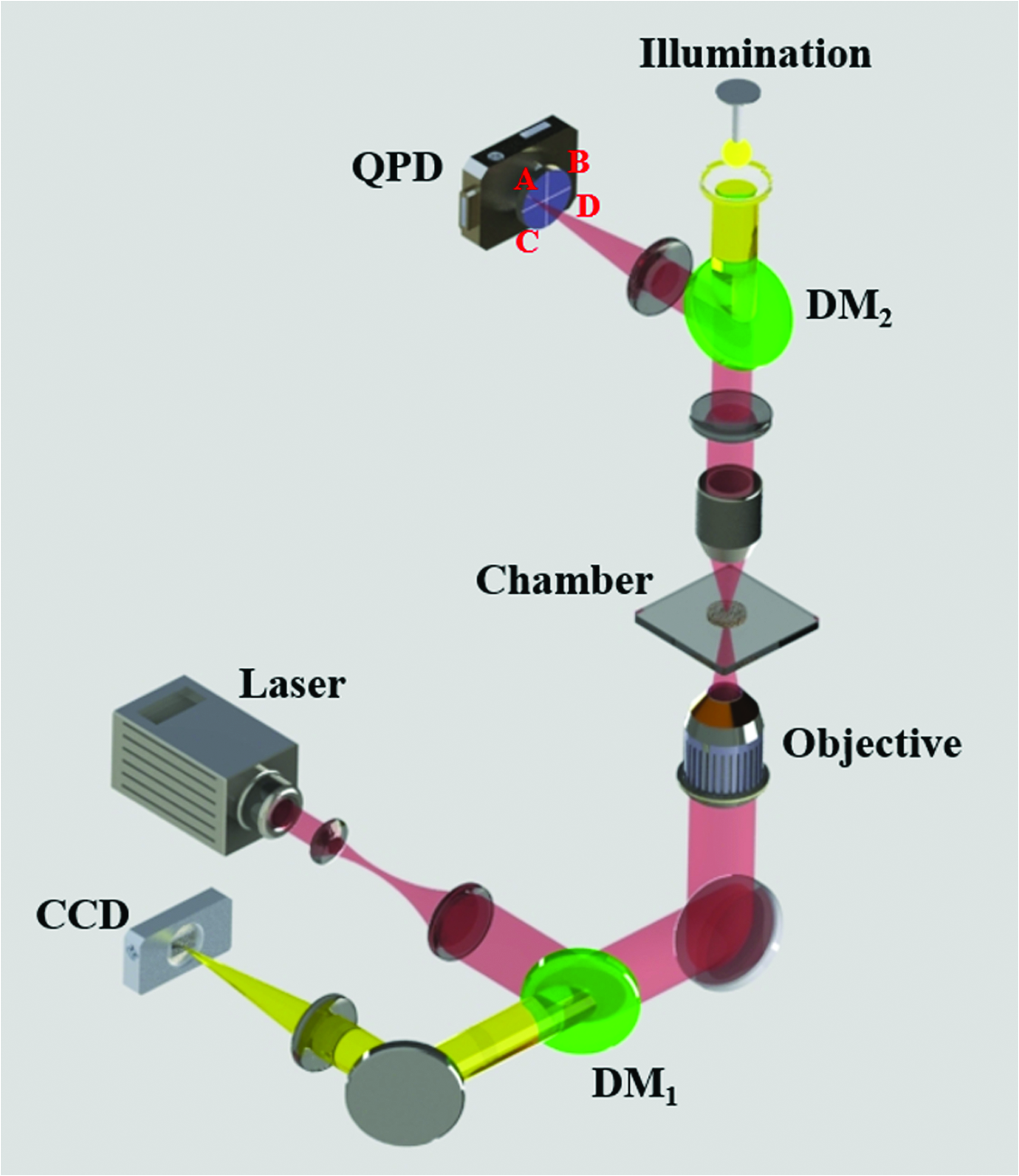Optical trapping with structured light: a review Optical trapping with structured light: a review