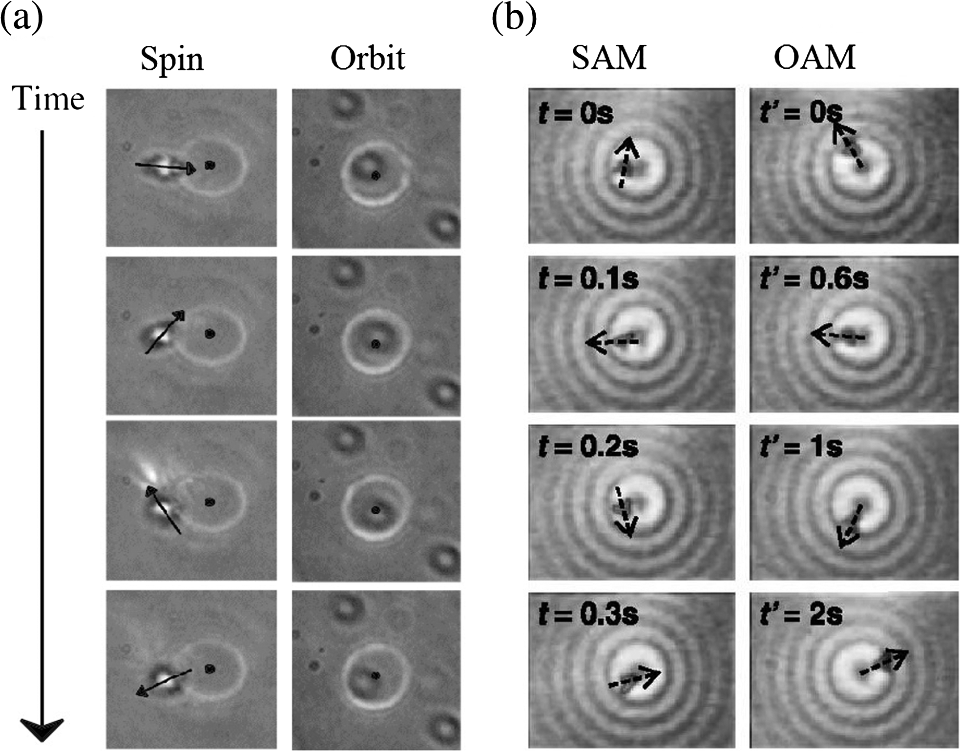 Optical trapping with structured light: a review