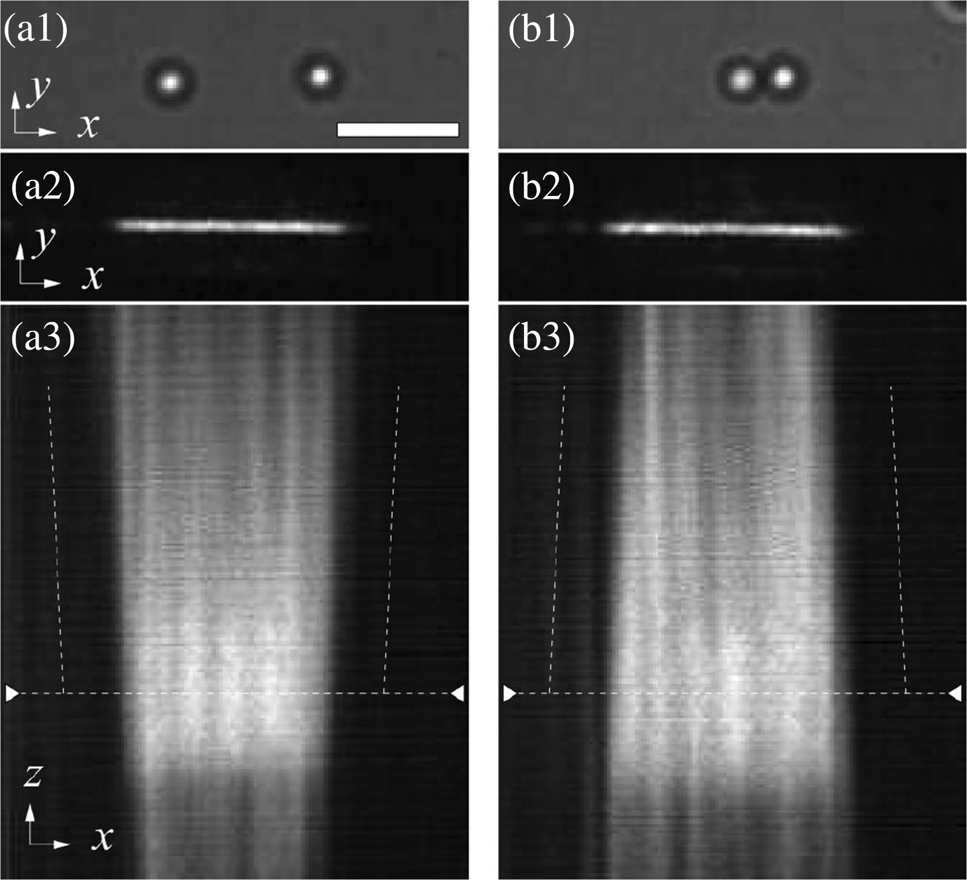 Optical trapping with structured light: a review
