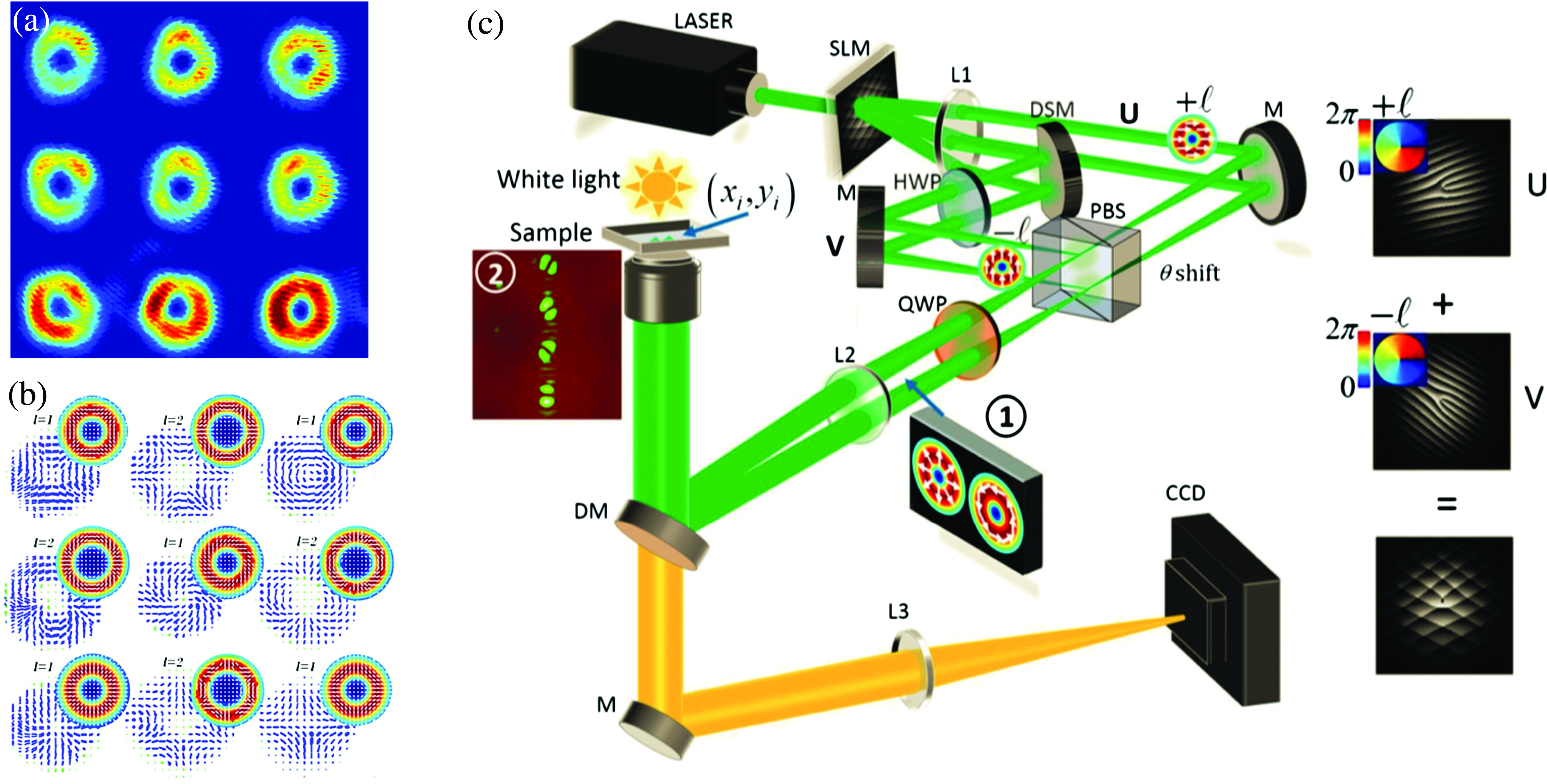 Optical trapping with structured light: a review Optical trapping with structured light: a review