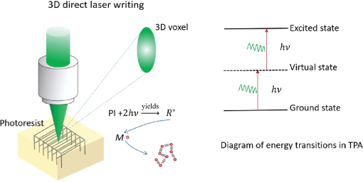 Three-dimensional direct laser writing of biomimetic neuron interfaces ...