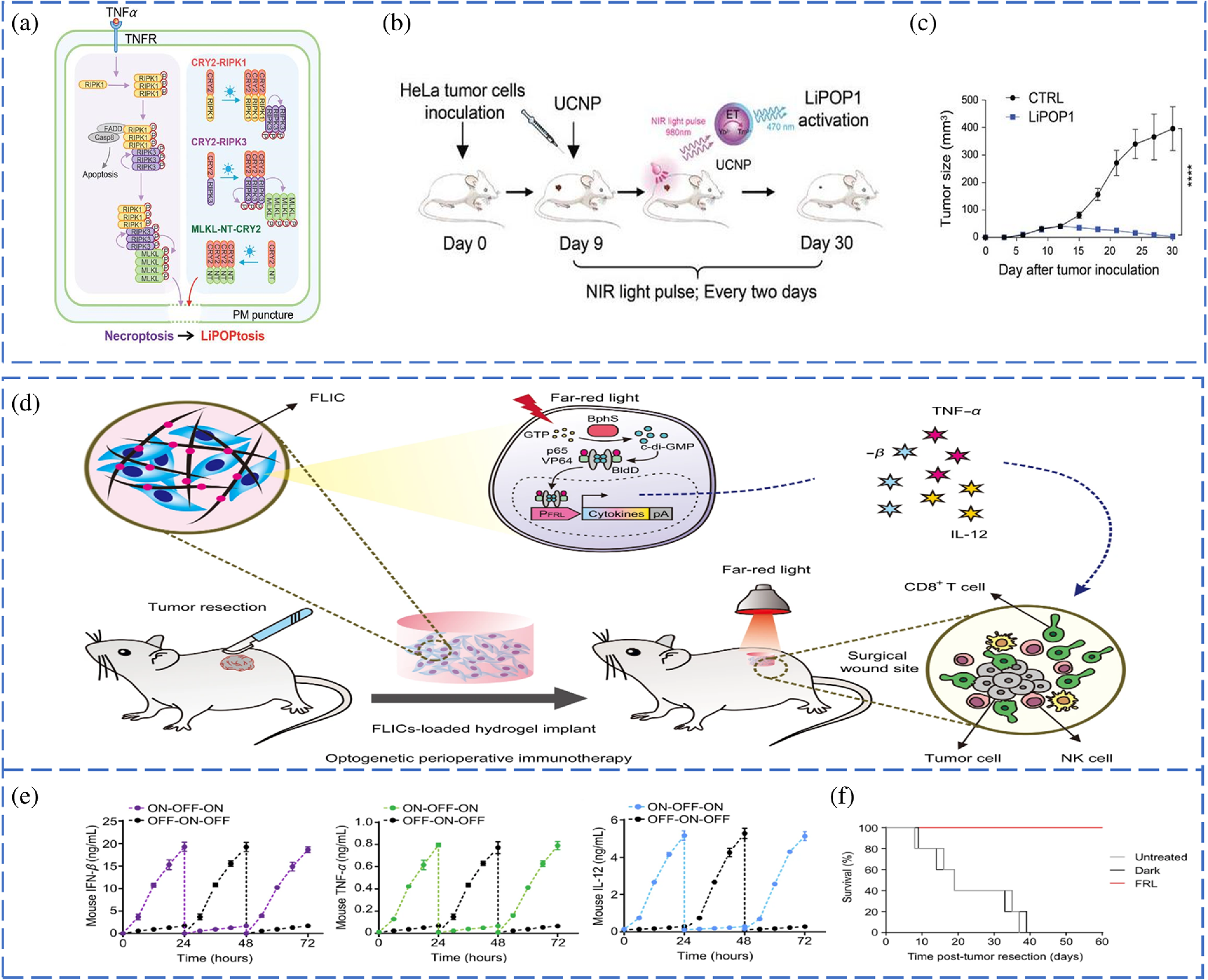 Optogenetic technology: breakthroughs and challenges from basic ...