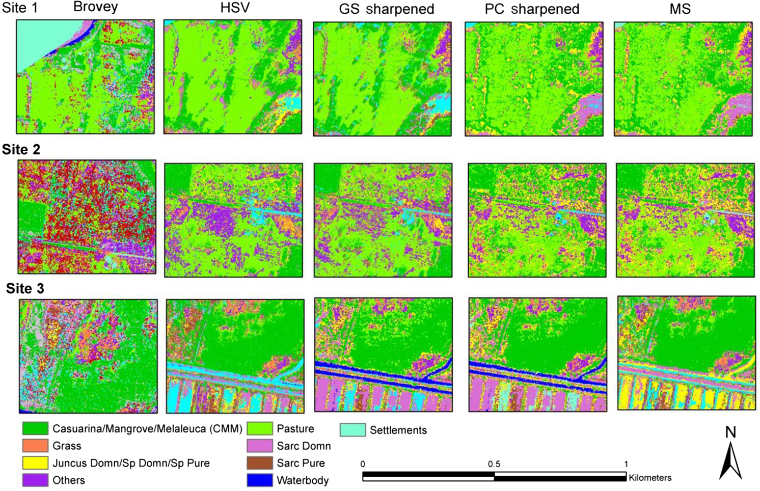 Improving image classification in a complex wetland ecosystem through ...
