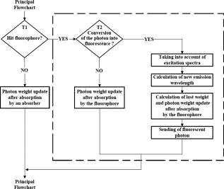 monte carlo modeling of multilayer phantoms with multiple monte carlo steps