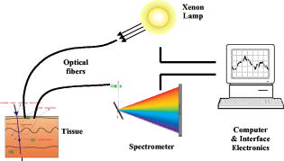 Elastic scattering spectroscopy detection of cancer risk esophagus: experimental and clinical validation of error removal by orthogonal subtraction for increasing