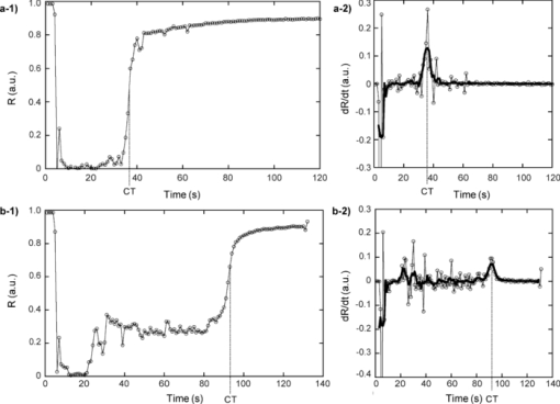 Coagulation dynamics of a blood sample by multiple scattering analysis