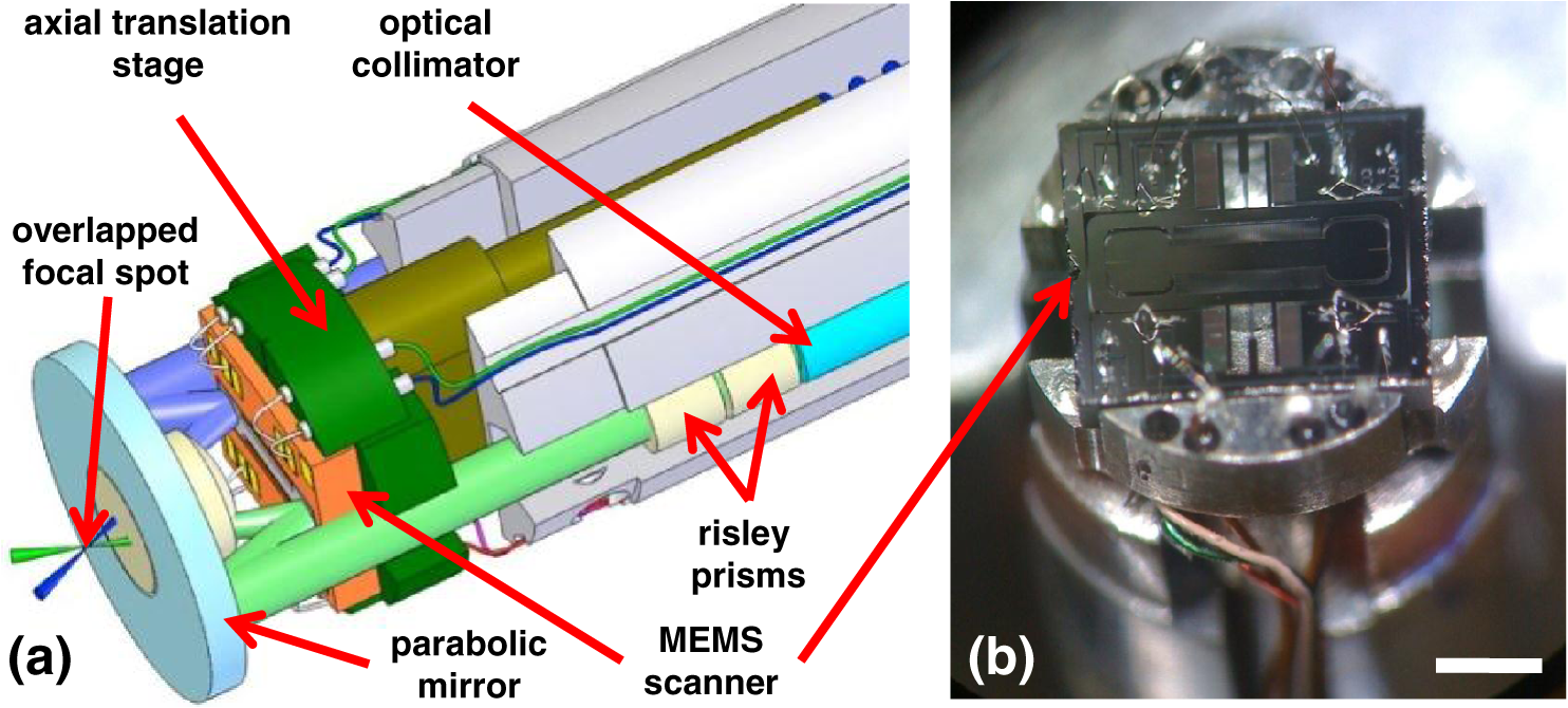 Microendoscope In vivo near-infrared dual-axis confocal microendoscopy in the human ...