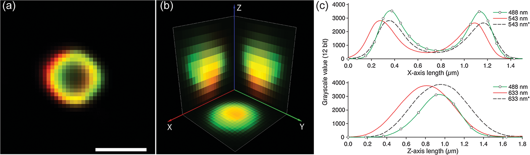 Quantitative 3 D Colocalization Analysis As A Tool To Study