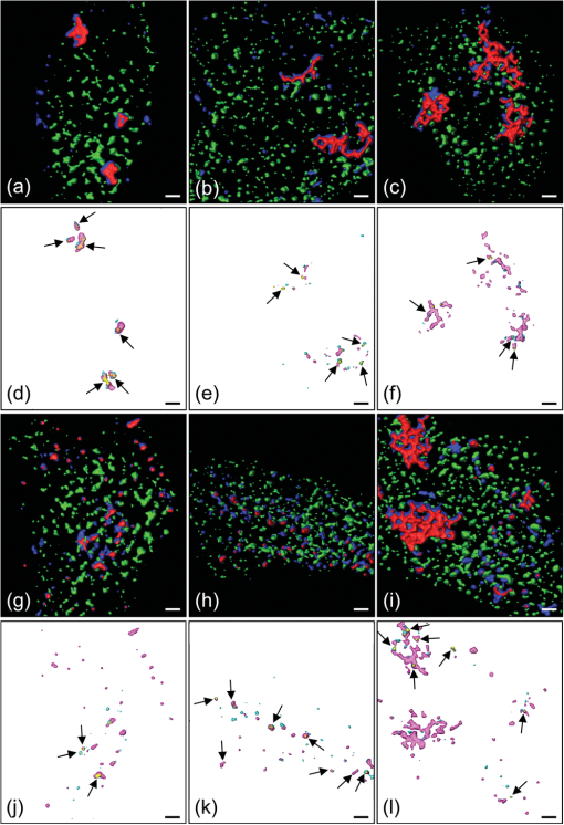 Quantifying Receptor Trafficking And Colocalization With
