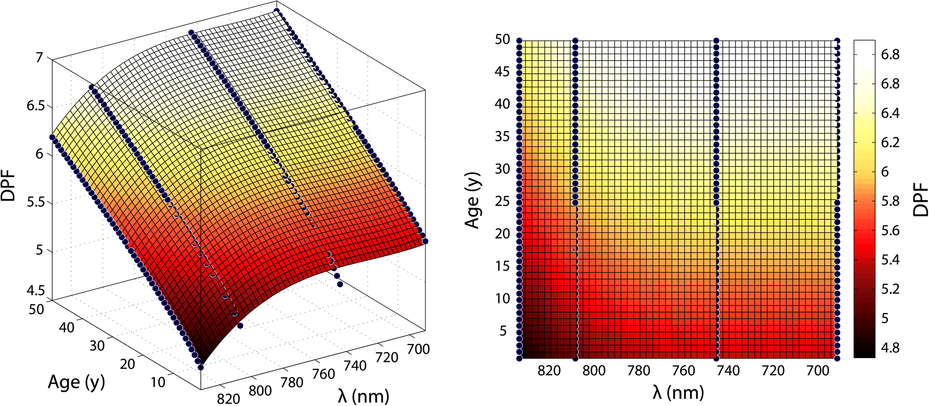 General equation for the differential pathlength factor of the frontal