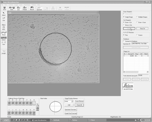 JBO_18_5_055002_f007.png