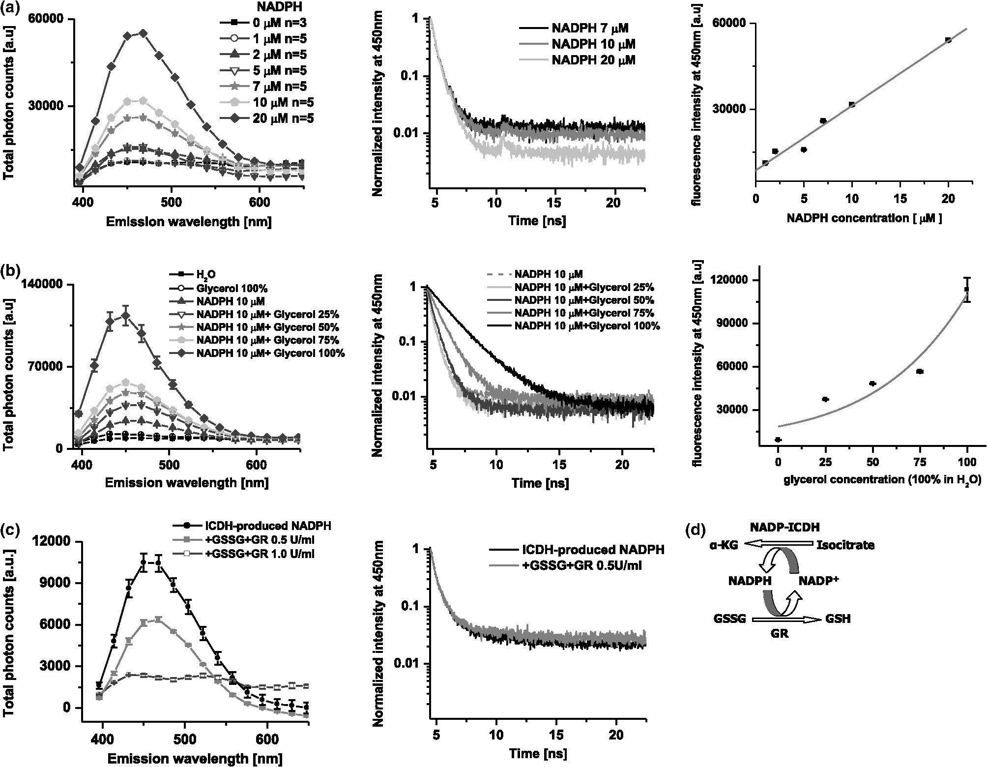 Time Resolved Fluorescence Spectroscopy Investigation Of The Effect Of 4 Hydroxynonenal On Endogenous Nad P H In Living Cardiac Myocytes Time Resolved Fluorescence Spectroscopy Investigation Of The Effect Of 4 Hydroxynonenal On Endogenous Nad P H In Living Cardiac Myocytes