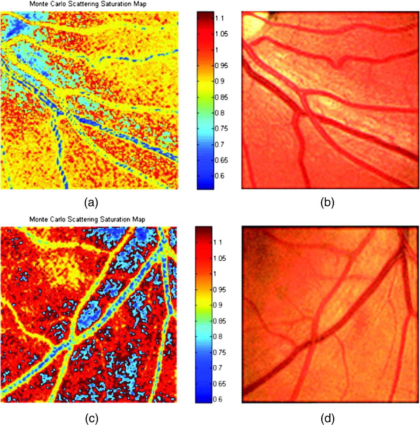 medical hyperspectral imaging a