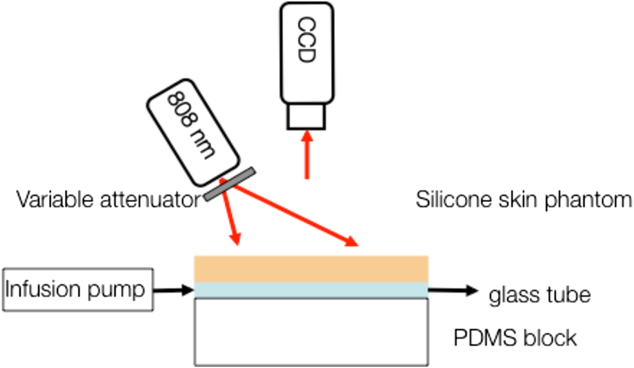 Spatial versus temporal laser speckle contrast analyses in the presence