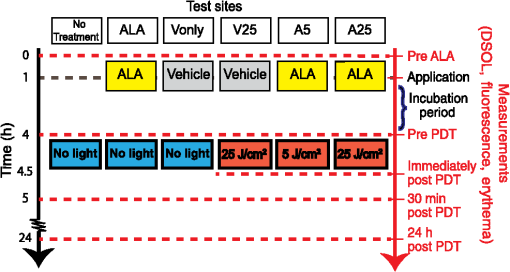 JBO_19_2_028001_f001.png