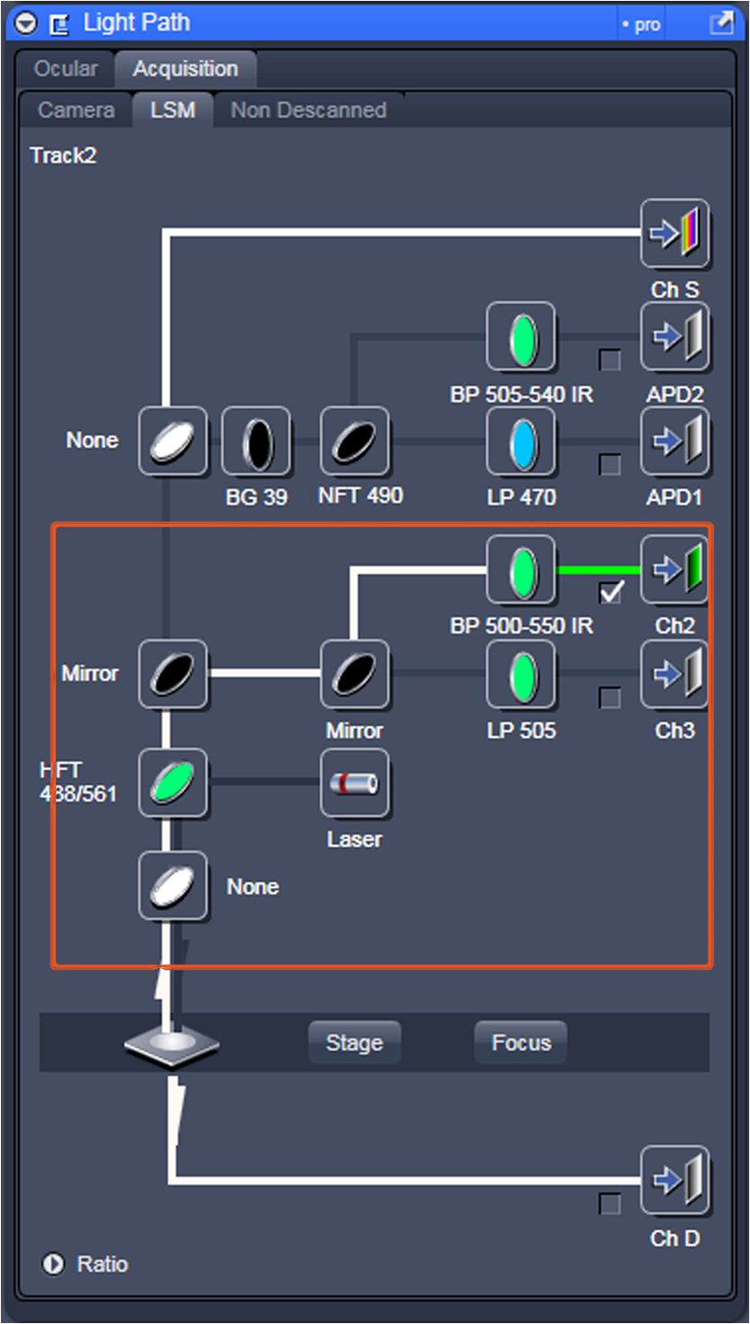 fluorescence intensity in zen lite software fluorescence intensity in zen lite software