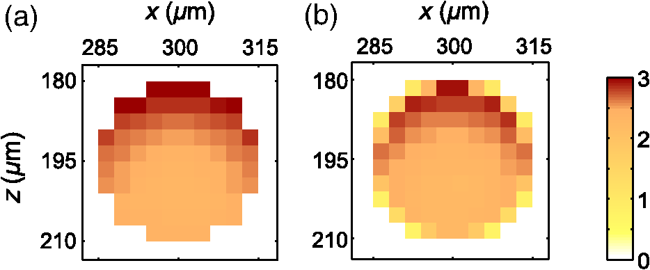 Monte Carlo Simulation Of Radiation Transport In Human Skin With Rigorous Treatment Of Curved Tissue Boundaries