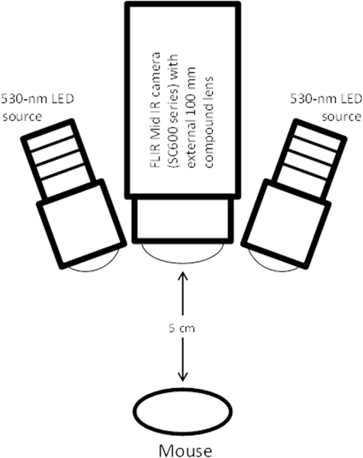 Noninvasive Enhanced Mid Ir Imaging Of Breast Cancer