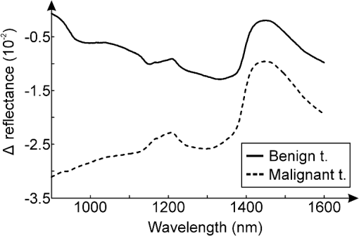 JBO_20_3_037003_f004.png