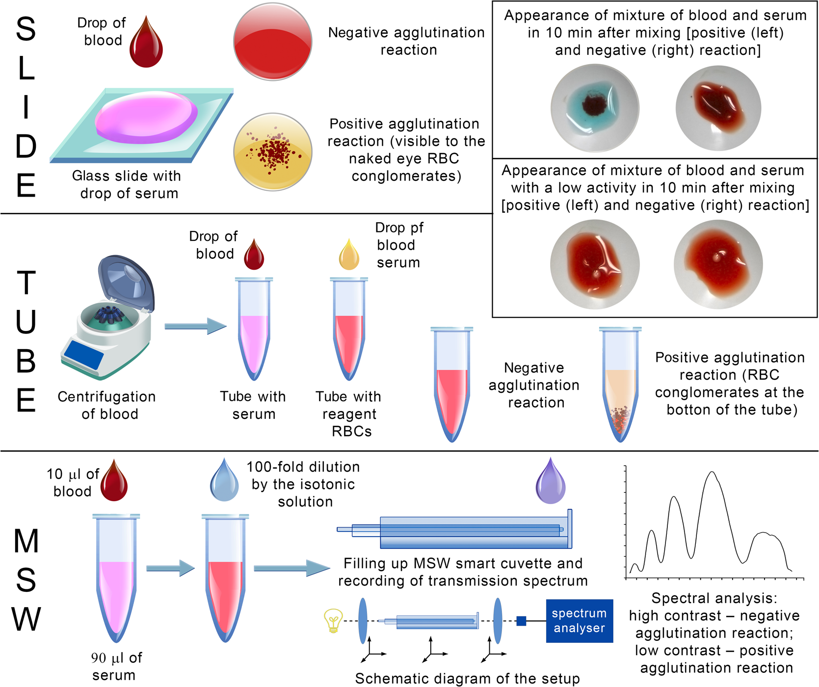 One minute blood typing - Monash University