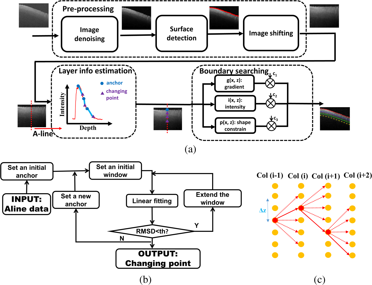 Automated Classification Of Optical Coherence Tomography Images Of Human Atrial Tissue