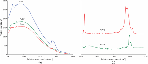 Disposable sheath that facilitates endoscopic Raman spectroscopy