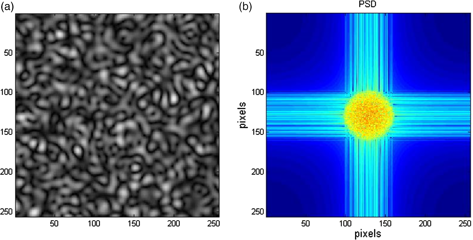 Combined effects of scattering and absorption on laser speckle contrast