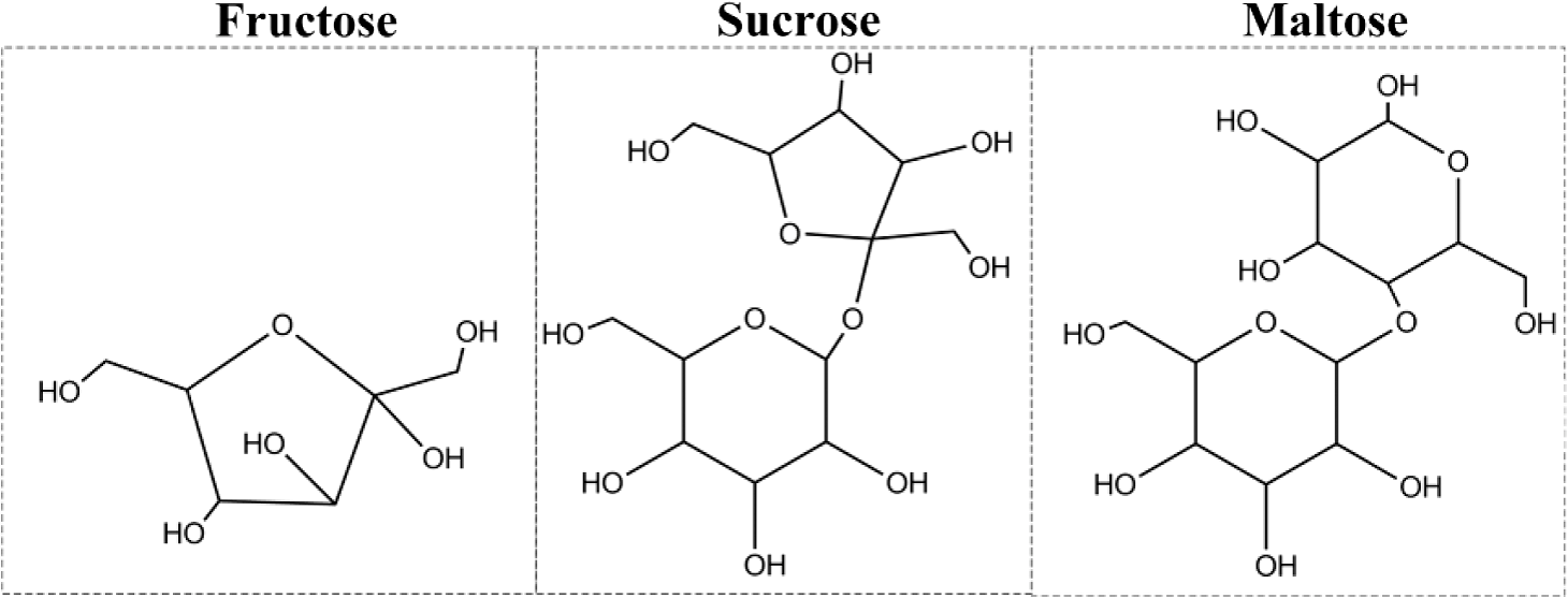 Фруктоза селиванова. Sucrose structure. Structure of Maltose. Геншин sucrose. Sucrose формула.