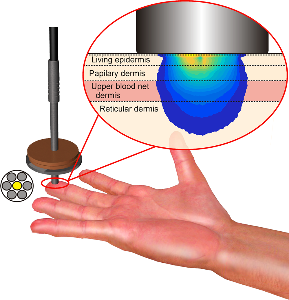 Influence Of Probe Pressure On Diffuse Reflectance Spectra - 