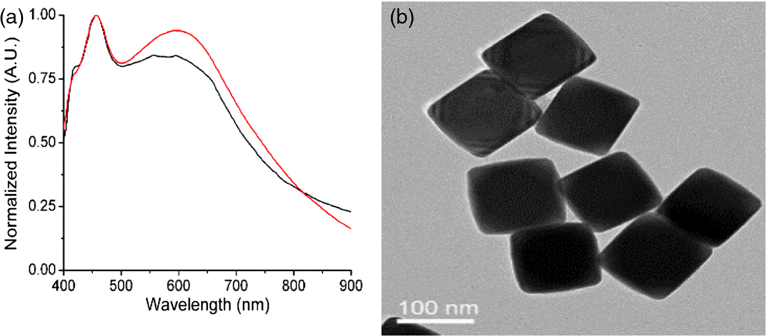 surface enhanced raman spectroscopy