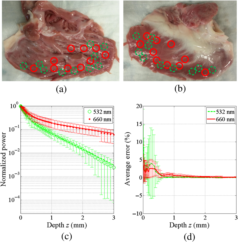 Determining The Light Scattering And Absorption Parameters From Forward Directed Flux Measurements In Cardiac Tissue