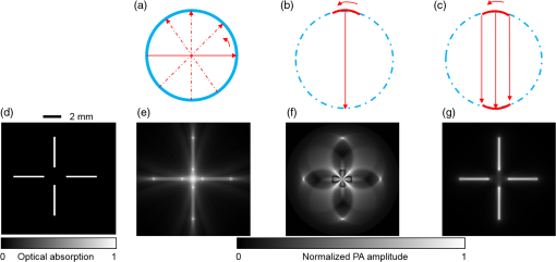 Multiview Hilbert transformation in full-ring transducer array-based ...
