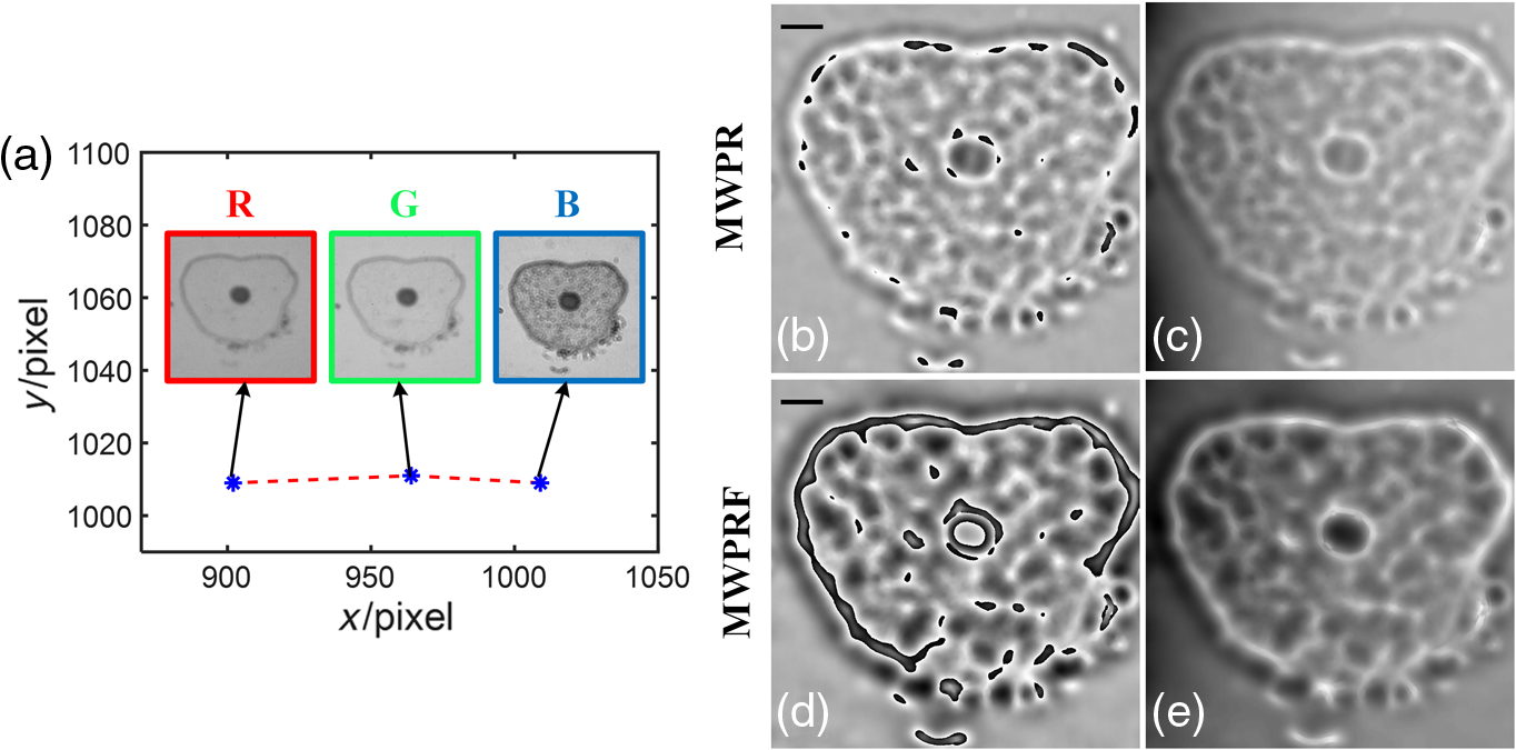 Enhancing Imaging Contrast Via Weighted Feedback For Iterative Multi Image Phase Retrieval Enhancing Imaging Contrast Via Weighted Feedback For Iterative Multi Image Phase Retrieval