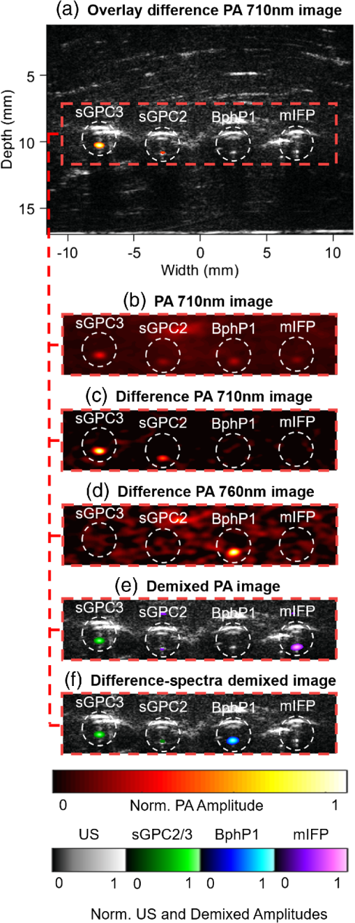 Download Spider II Slipknot presets - Line 6