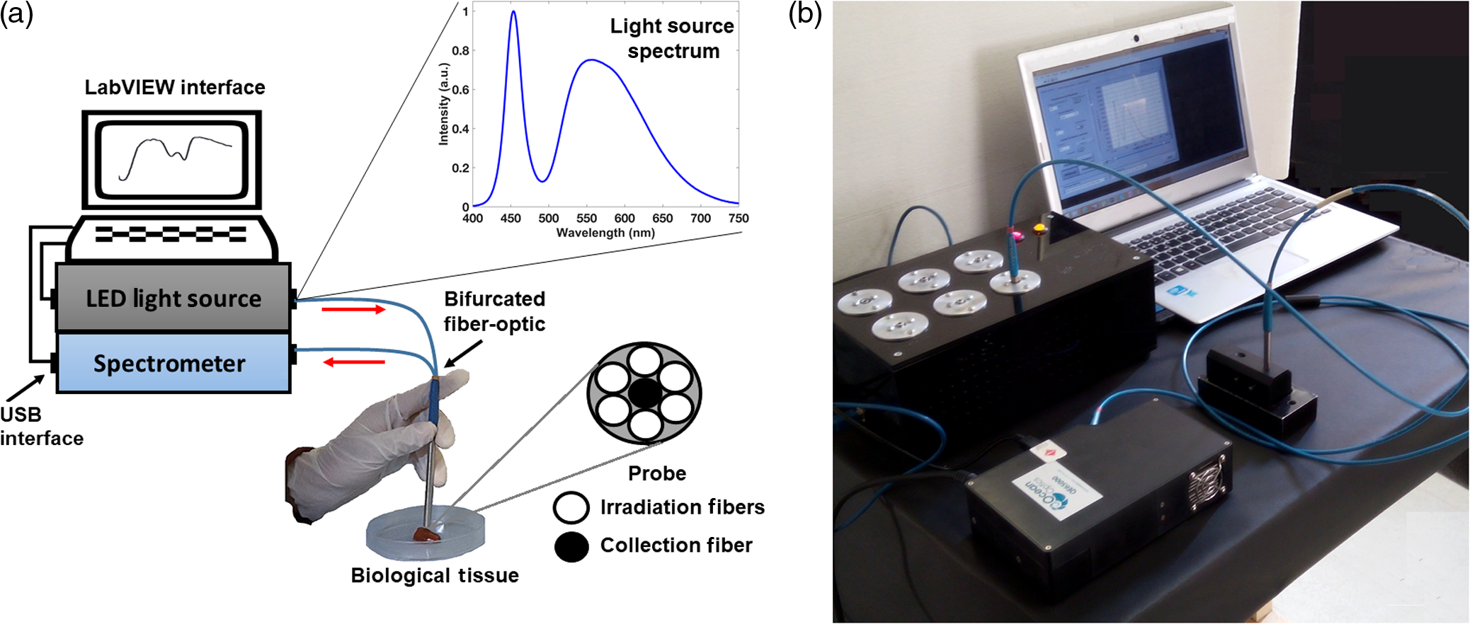 Diffuse Reflectance Spectroscopy Accurately Discriminates Early And Advanced Grades Of Fatty Liver In Mice Diffuse Reflectance Spectroscopy Accurately Discriminates Early And Advanced Grades Of Fatty Liver In Mice