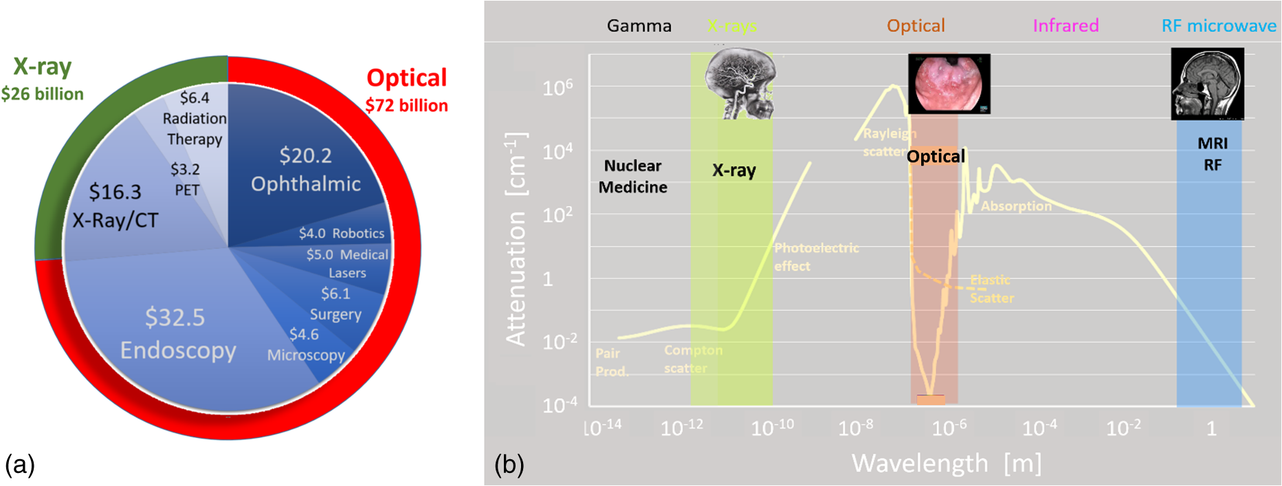 Optical And X Ray Technology Synergies Enabling Diagnostic - 