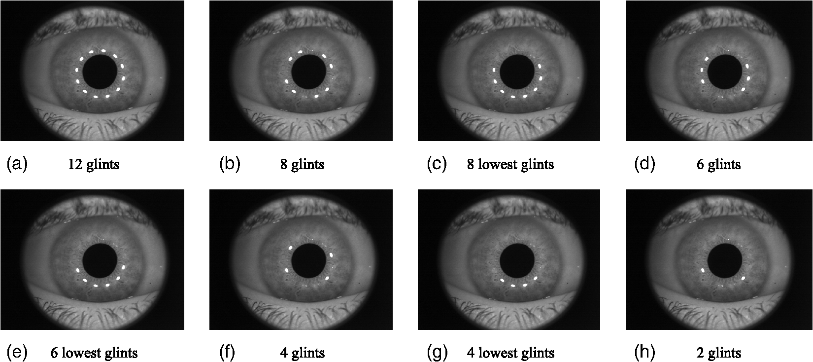 eye tracking download