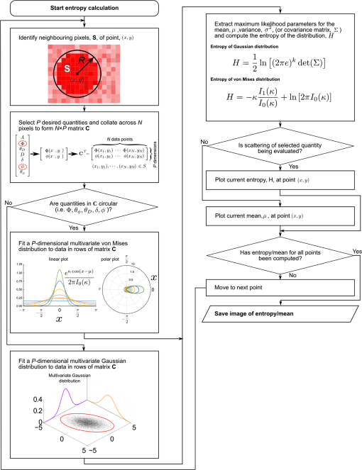 JBO_24_12_126004_f002.png