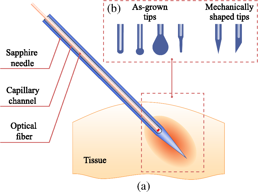 Optimization of sapphire capillary needles for interstitial and ...