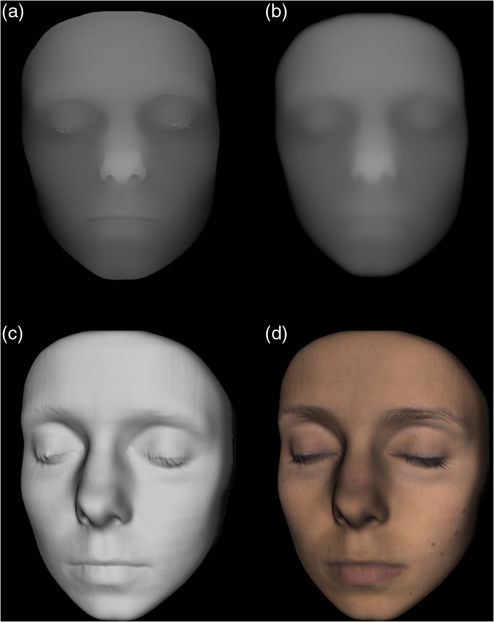 Three-dimensional maps of human skin properties on full face with ...