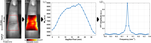 JBO_24_6_066008_f003.png