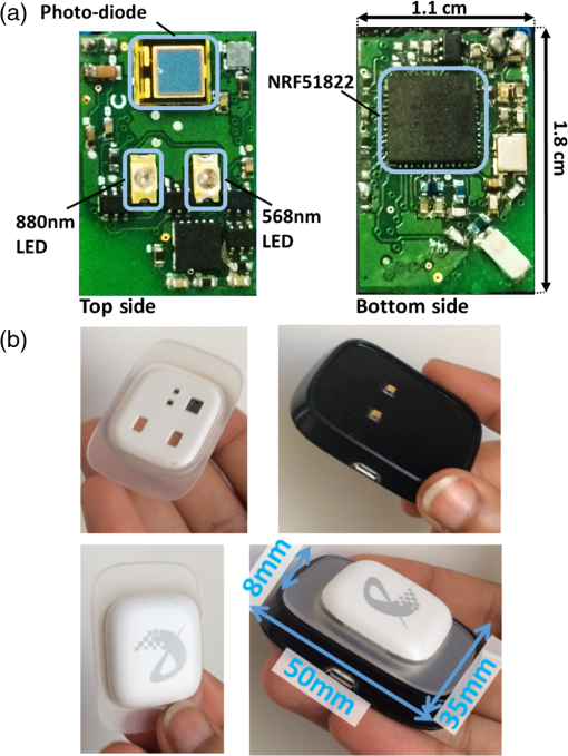 JBO_24_6_067001_f001.png