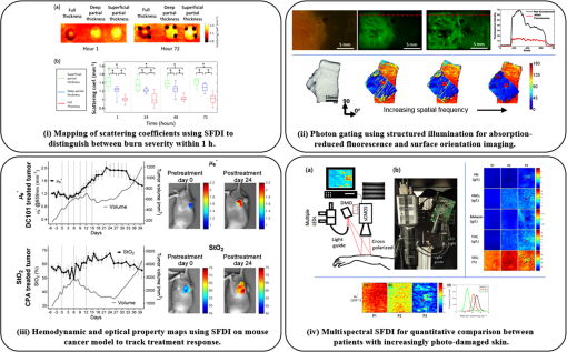 Review Of Structured Light In Diffuse Optical Imaging