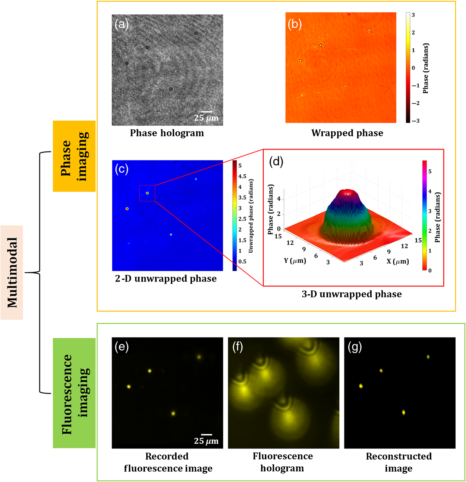 3D chromatographic fingerprint analysis of the CVM B307 by using