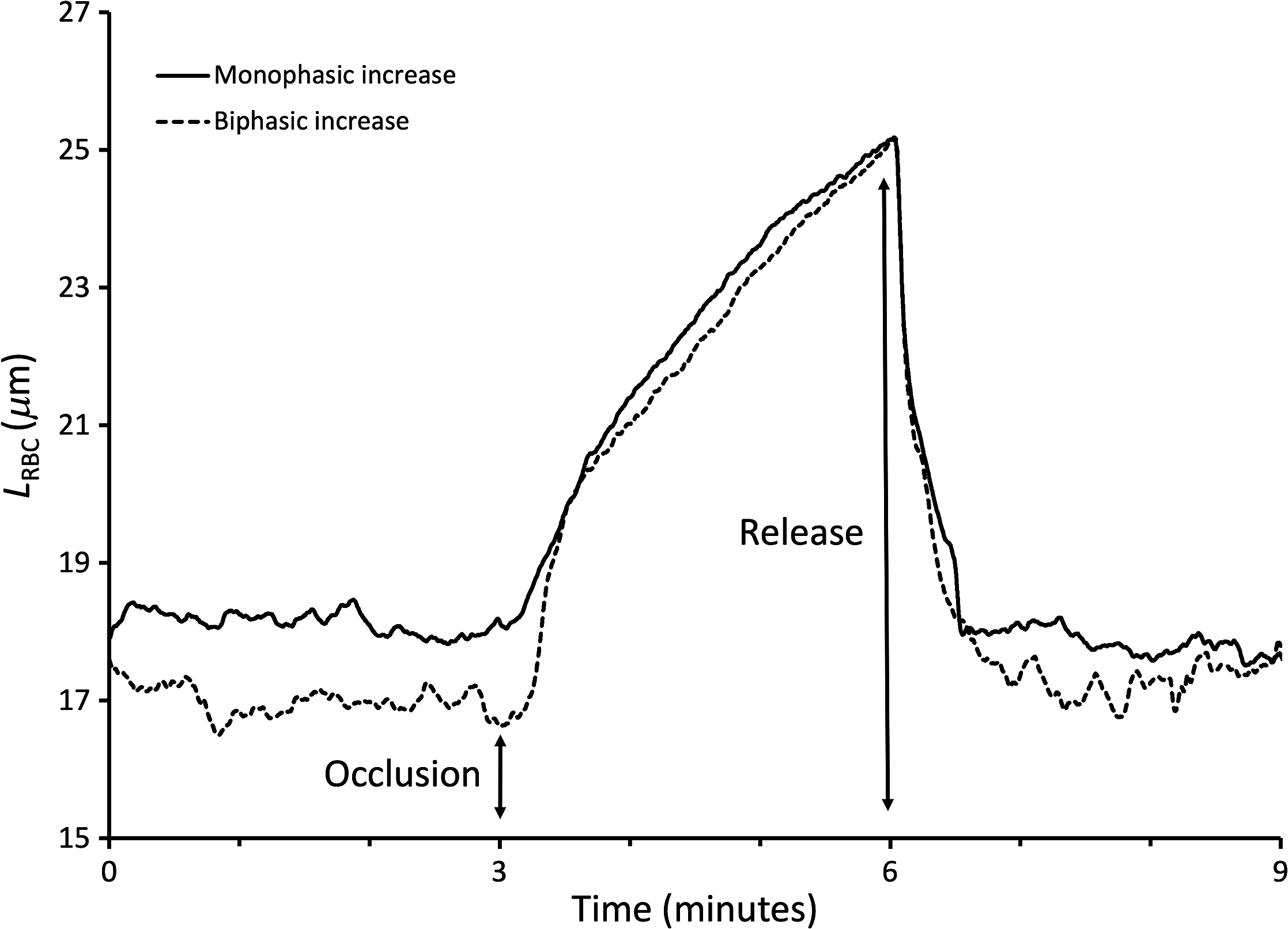 Development and validation of quantitative optical index of skin blood ...