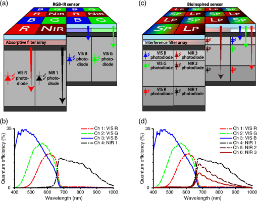 Decoupling channel count from field of view and spatial resolution in ...