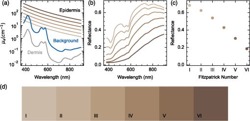 視覚と聴覚:光音響が癌の検出とモニタリングをどのように変えるか(Sight and sound:How photoacoustics could transform cancer detection and monitoring)