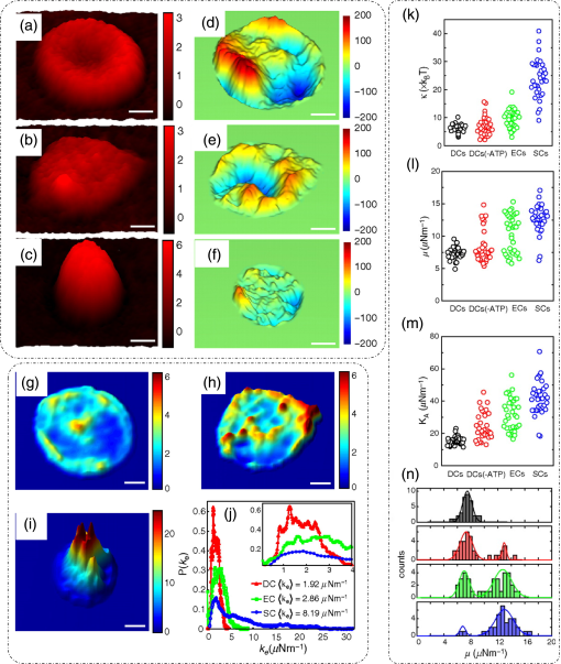 Quantitative phase imaging techniques for measuring scattering